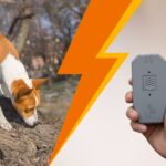 Ilustracja przedzielona w połowie pomarańczową błyskawicą. Po prawej widoczny ultradźwiękowy Dazer 2, po lewe pies wspinający się na drzewo.