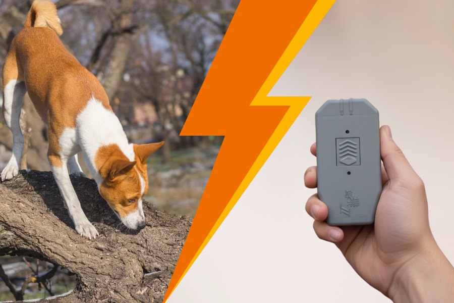 Ilustracja przedzielona w połowie pomarańczową błyskawicą. Po prawej widoczny ultradźwiękowy Dazer 2, po lewe pies wspinający się na drzewo.