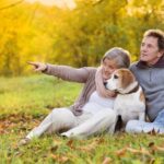 Para seniorów siedząca z psem rasy Beagle na trawie w parku. W tle widoczne są drzewa pokryte jesiennymi liśćmi.
