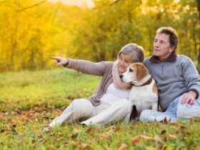 Para seniorów siedząca z psem rasy Beagle na trawie w parku. W tle widoczne są drzewa pokryte jesiennymi liśćmi.