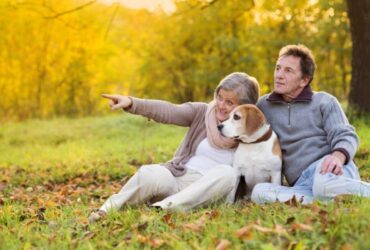 Para seniorów siedząca z psem rasy Beagle na trawie w parku. W tle widoczne są drzewa pokryte jesiennymi liśćmi.