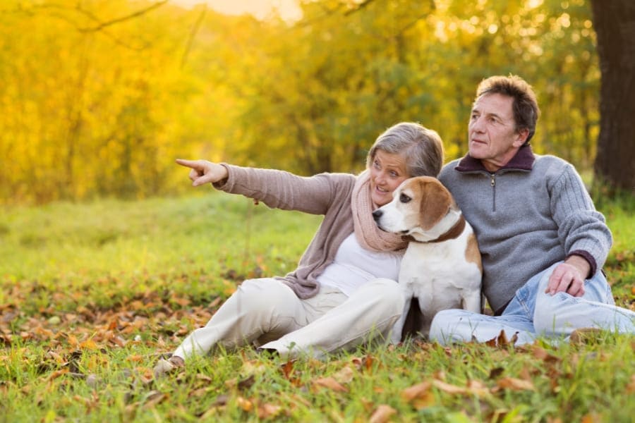 Para seniorów siedząca z psem rasy Beagle na trawie w parku. W tle widoczne są drzewa pokryte jesiennymi liśćmi.